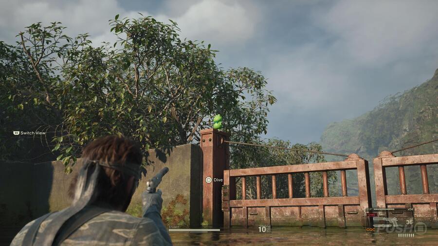 Metal Gear Solid Delta Trophy Guide: All Trophies and How to Get the Platinum 32