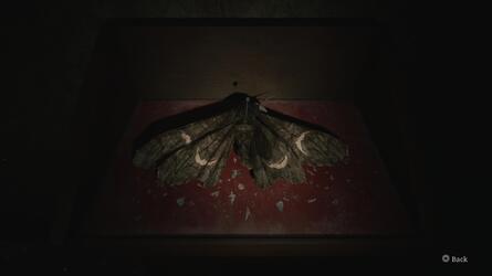 Silent Hill 2: Moth Lock Combination and How to Get It Guide 5