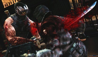 Ninja Gaiden 3 Unsheathes Full PlayStation Move Support