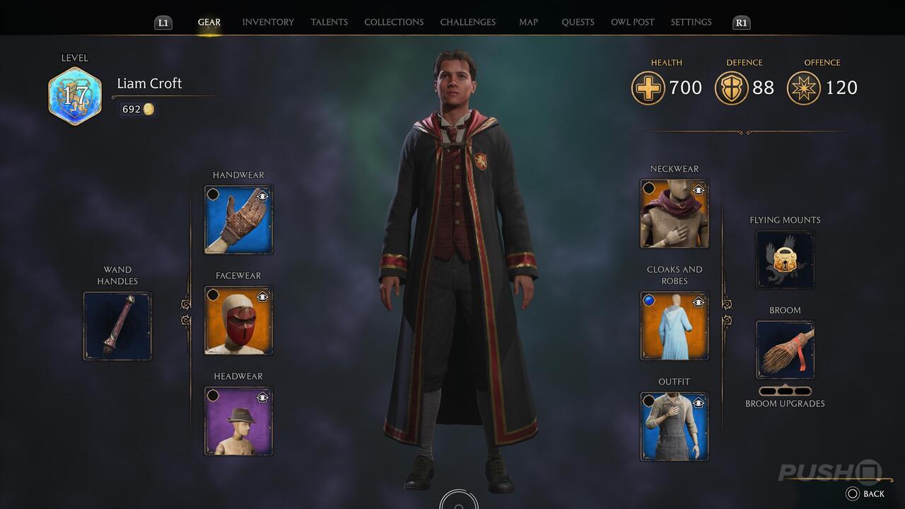 Hogwarts Legacy PS4 Skin