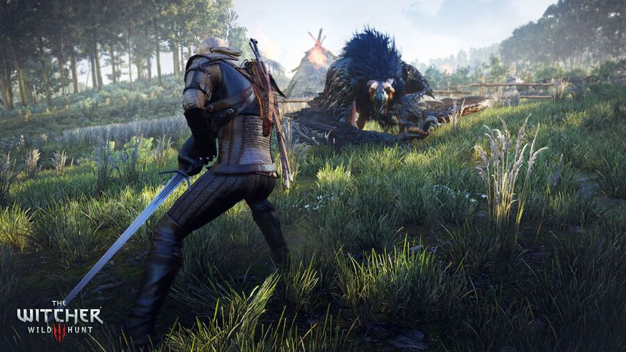 The Witcher 3 Wild Hunt PS4 PlayStation 4 2
