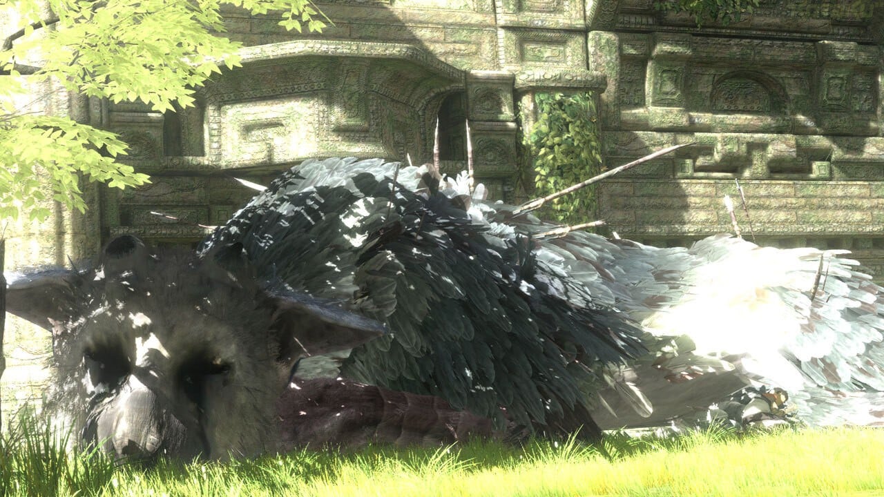 Yoshida: The Last Guardian Sure Looks Pretty | Push Square