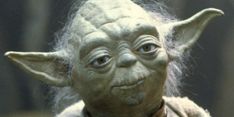 yoda face.jpg