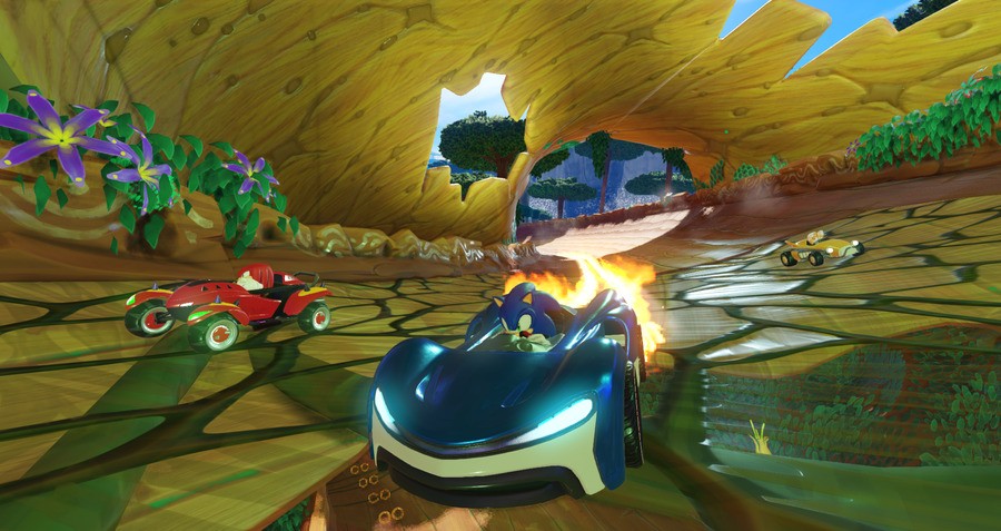 Team Sonic Racing PS4 PlayStation 4 1