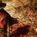Gunslingin' Shooter Call of Juarez Rumoured to Be Revived After Over a Decade