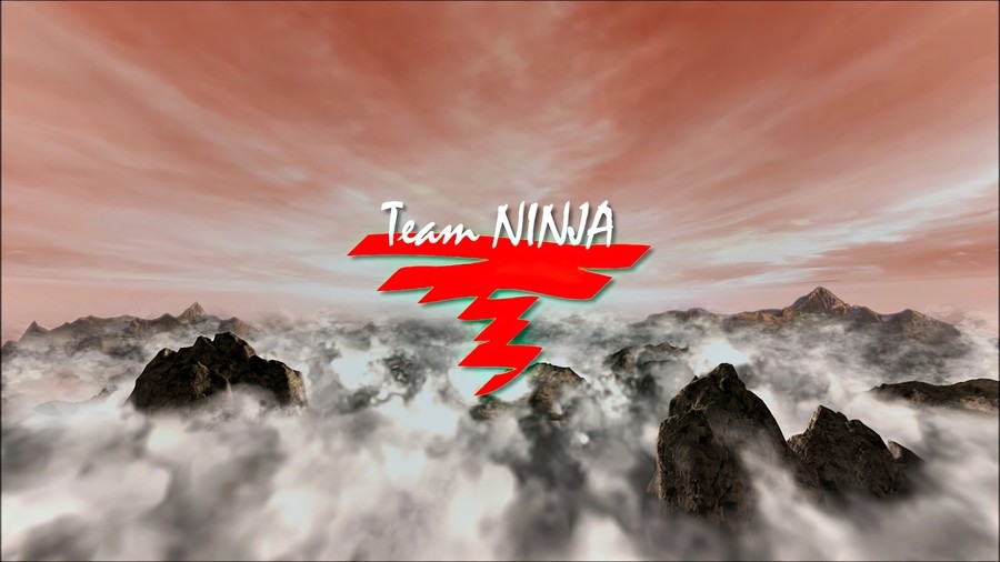 Which of these games was not primarily developed by Team Ninja?