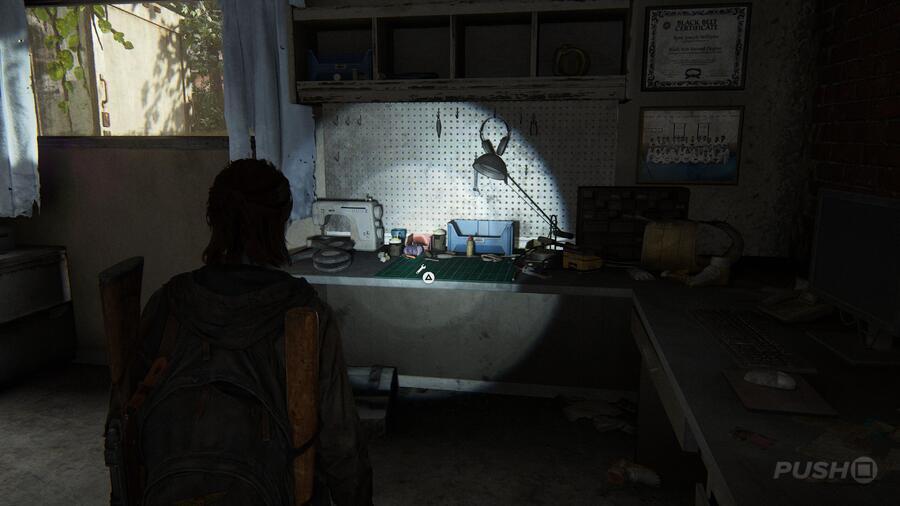 The Last of Us 2: Capitol Hill Collectibles Guide 33