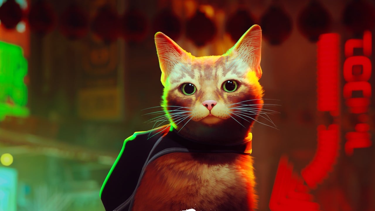 Stray for PS5 review: The game that'll make you want a cat