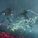 Clair Obscur: Expedition 33 Struggles for Sales in Japan, Despite JRPG Inspirations