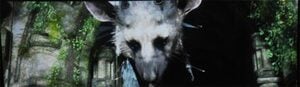 The Last Guardian Was Named For Western Audiences, Despite It's Strictly Eastern Principles.