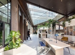 Guerrilla's New Amsterdam Office Will Leave You Green with Envy