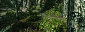 Crytek's CryEngine Produces Notoriously Good Graphics.