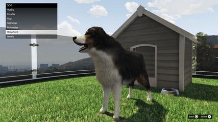 GTA Online: How to Start a Safehouse in the Hills and Best Mansions to Buy 16