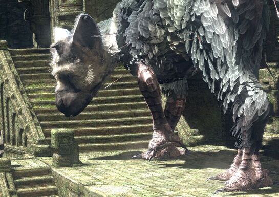 Is Overdue Team ICO Title The Last Guardian Coming to PS4?