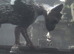 The Last Guardian May Support The PlayStation Move