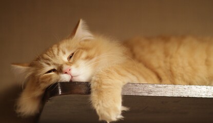 What Are You Playing This Weekend? - Issue 63