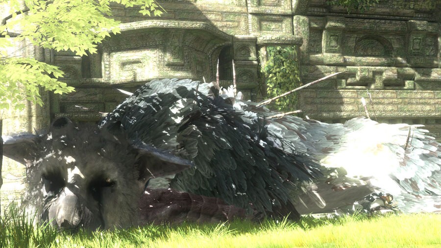 The Last Guardian