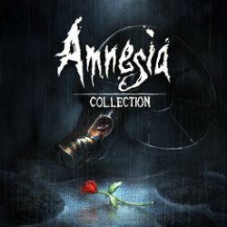 Amnesia: Collection Cover