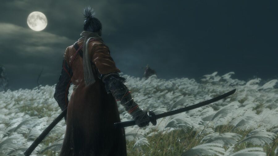 Sekiro Shadows Die Twice 3