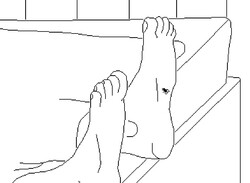 Time Flies in This Hand-Drawn PS5 Adventure About an Annoying Bug