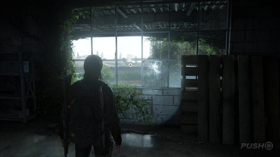 The Last of Us 2: The Flooded City Collectibles Guide 15