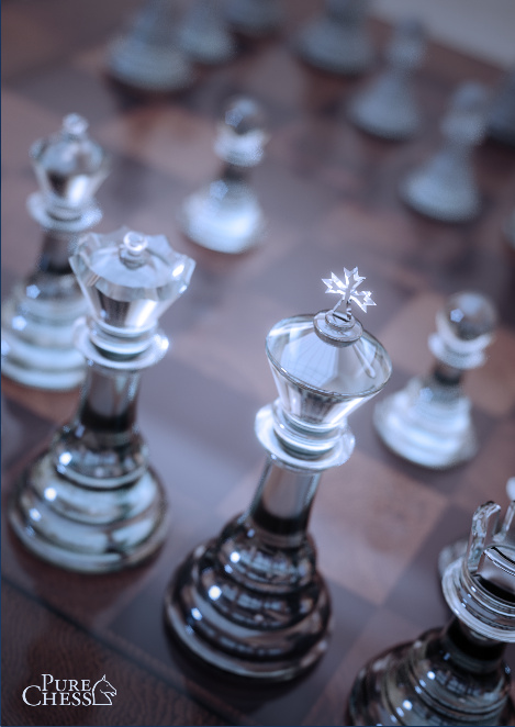Buy Pure Chess Grandmaster Edition Steam