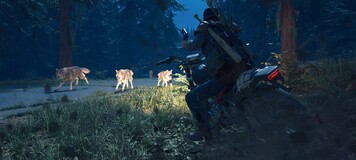 Days Gone PS4 6