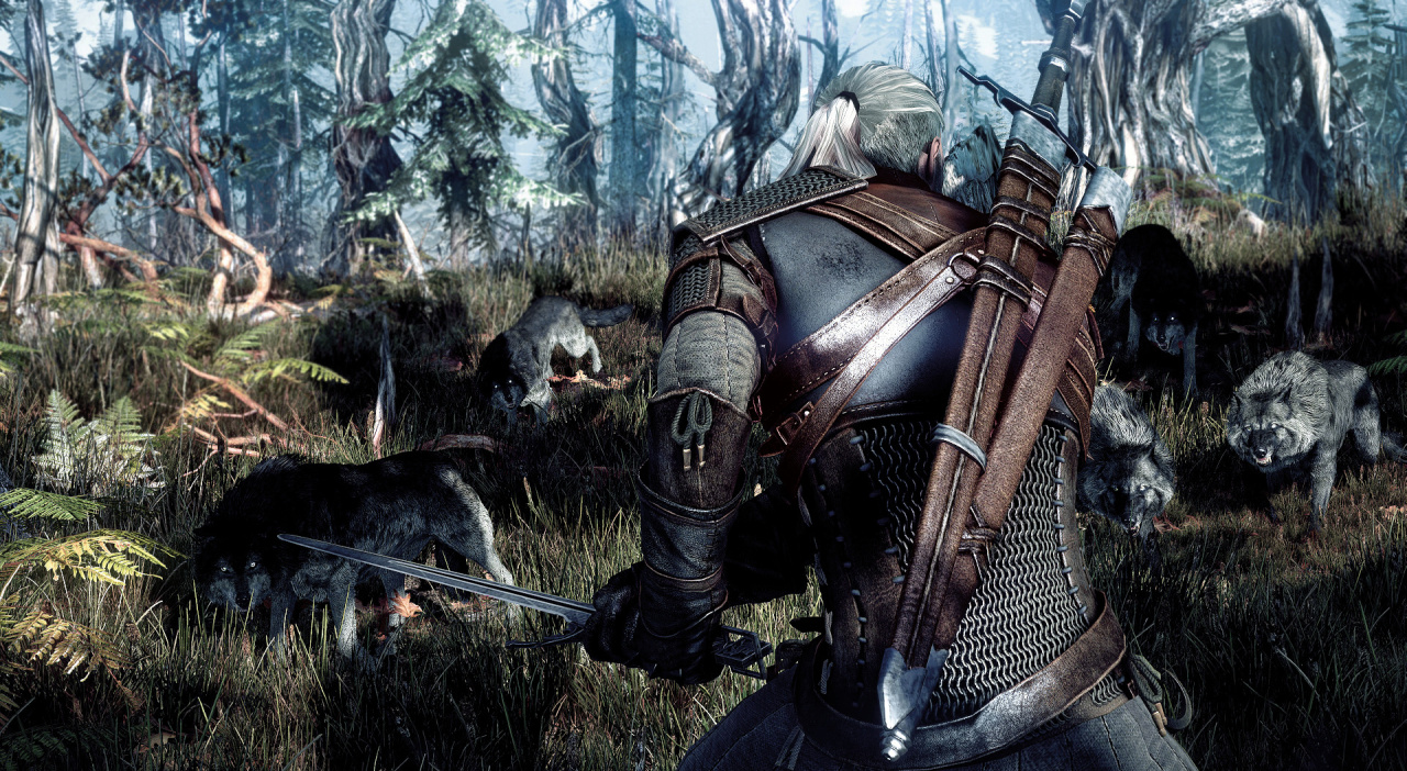 Warner Bros. Interactive The Witcher 3: Wild Hunt (PS4) 