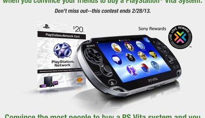 Sony's Latest PlayStation Vita Promotion Pays in Spades