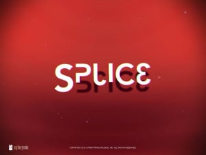 Splice