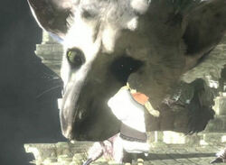 Sony Shoulders the Blame for The Last Guardian Rollercoaster