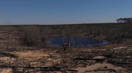 Horizon Forbidden West FL Wildfire 02 En 11feb22