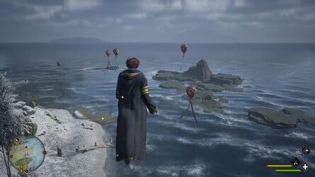 Hogwarts Legacy: All Balloons Locations > Feldcroft Region > South Feldcroft Region - 1 of 2