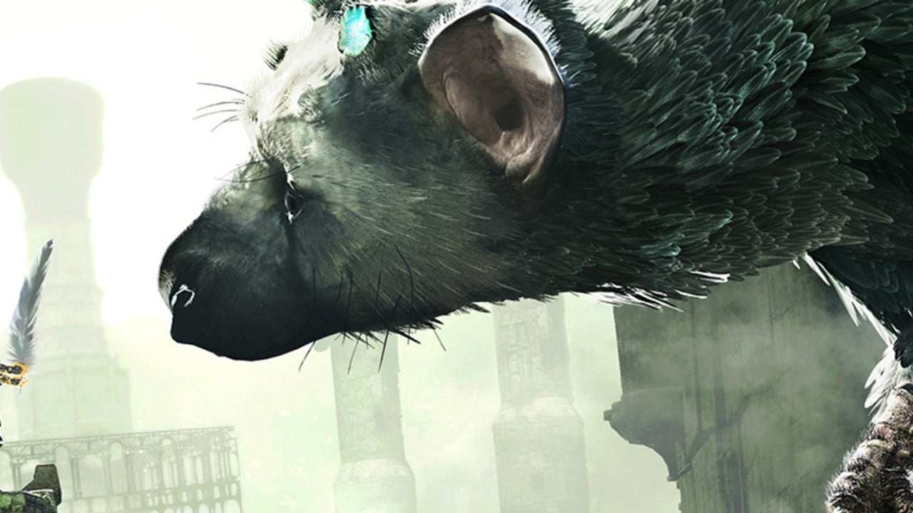 Find a Last Guardian Easter Egg in Shadow of the Colossus on PS4