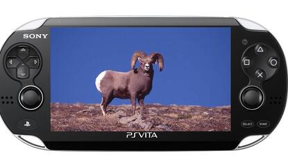 PS Vita Dev Corroborates System's RAM Reduction