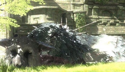 Sony: The Last Guardian Development Couldn't Be Better