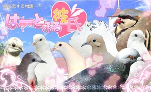 Bird love