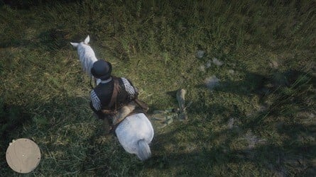 Red Dead Redemption 2 Dinosaur Bones Locations Guide 34