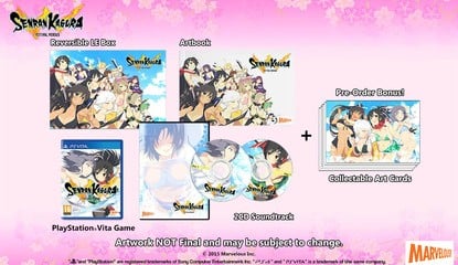 Senran Kagura Estival Versus Bounces onto PS4 and Vita Next Year