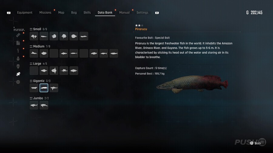 Stellar Blade: All Fish Locations and How to Catch Them 20