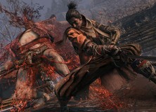 Sekiro: Shadows Die Twice PS4 PlayStation 4 9