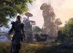 The Elder Scrolls Online Is Free to Play for the Next Six Days on PS4