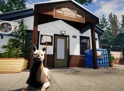 Adorable Pet Pals Need Your Help in Animal Shelter Simulator on PS5, PS4