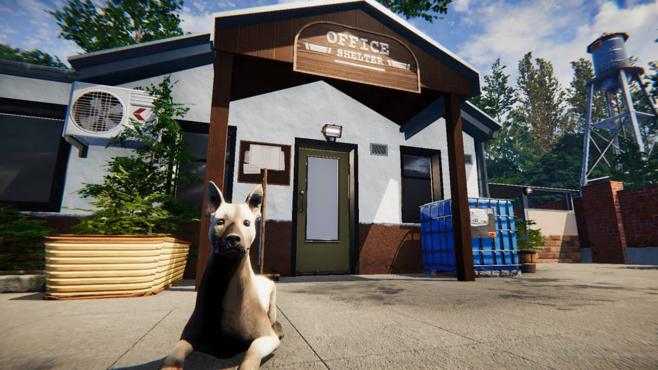 Teman Peliharaan yang Menggemaskan Membutuhkan Bantuan Anda di Animal Shelter Simulator di PS5, PS4