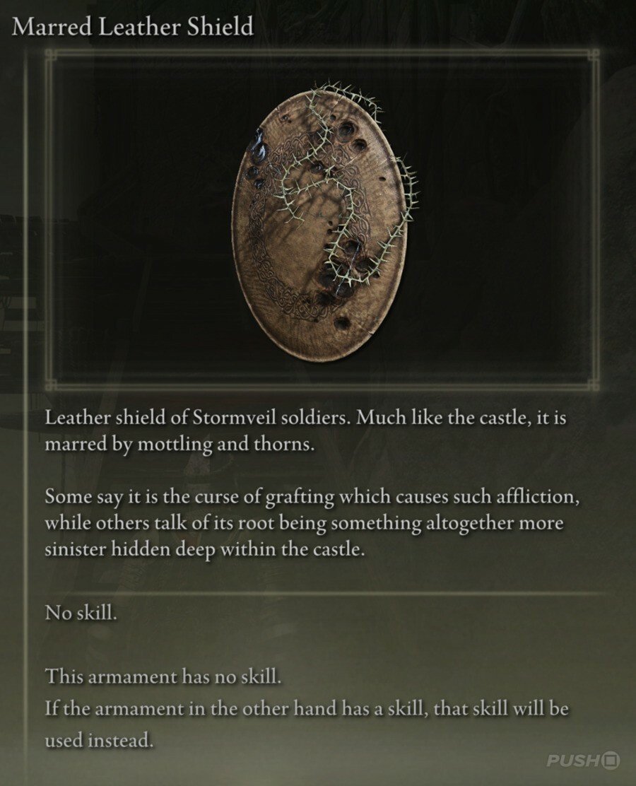 Marred Leather Shield.PNG