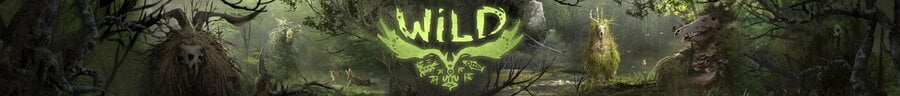 WiLD PS4 PlayStation 4 1