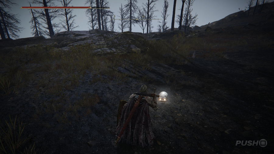 Elden Ring Guide: Walkthrough, Tips, and Boss Strategies Guide 2