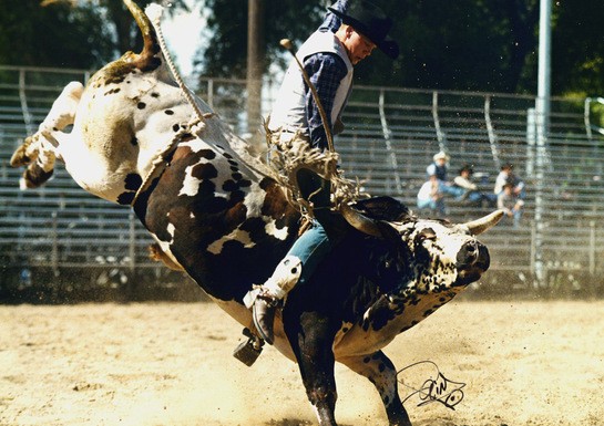 We Rustle Up Some Information on Top Hand Rodeo Tour