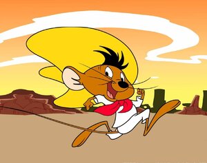 Sammy's feeling like Speedy Gonzales