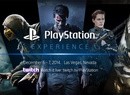PlayStation Experience Keynote Closes the Year with Copious Content